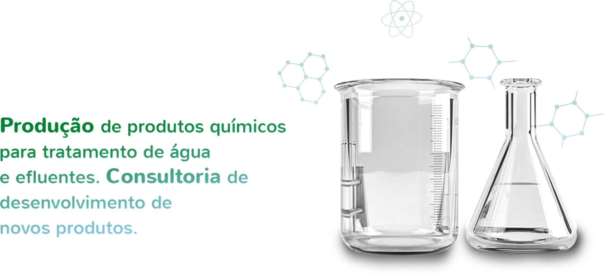 Primeiro Slide